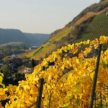 Lindenhof Отель 3*